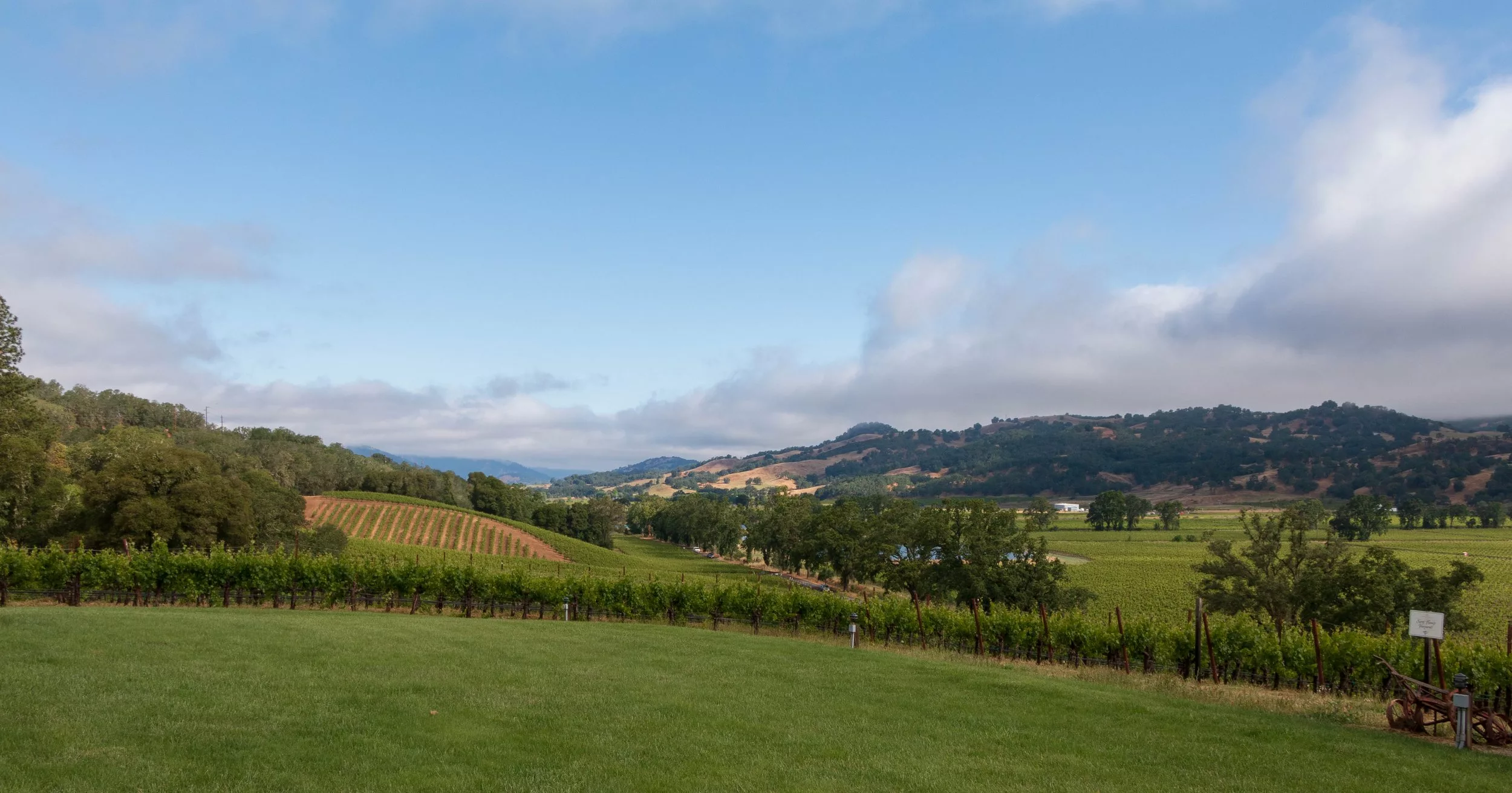 Best vineyard views in California